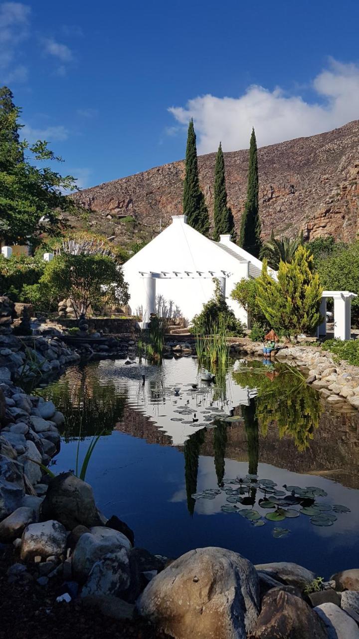 Montagu Little Sanctuary - Hot Spring Access At Reduced Price Daire Dış mekan fotoğraf