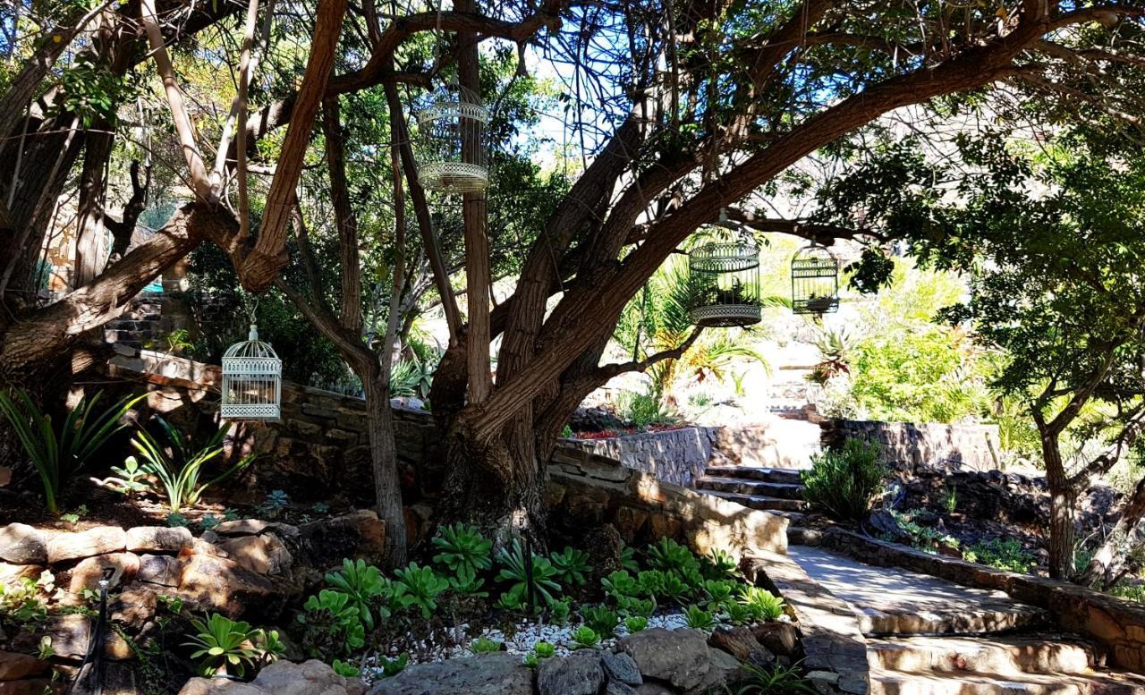Montagu Little Sanctuary - Hot Spring Access At Reduced Price Daire Dış mekan fotoğraf