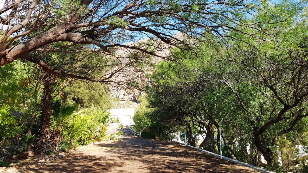 Montagu Little Sanctuary - Hot Spring Access At Reduced Price Daire Dış mekan fotoğraf