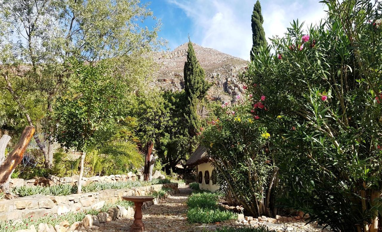 Montagu Little Sanctuary - Hot Spring Access At Reduced Price Daire Dış mekan fotoğraf