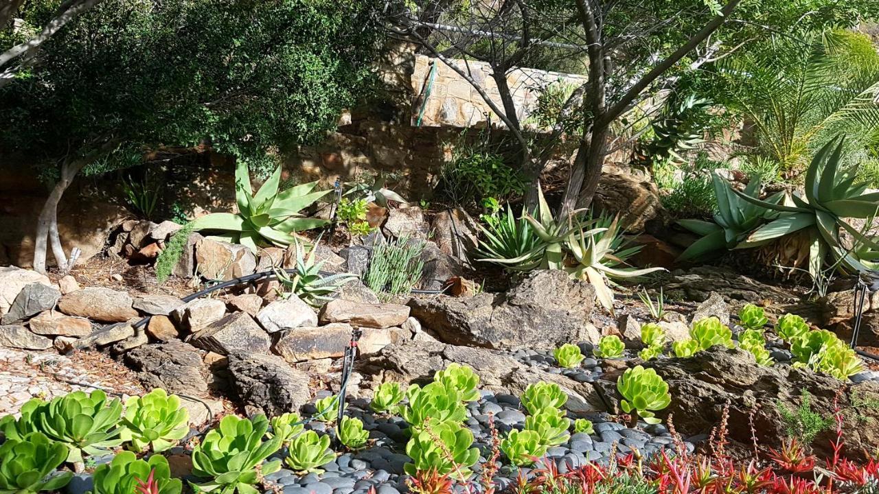 Montagu Little Sanctuary - Hot Spring Access At Reduced Price Daire Dış mekan fotoğraf