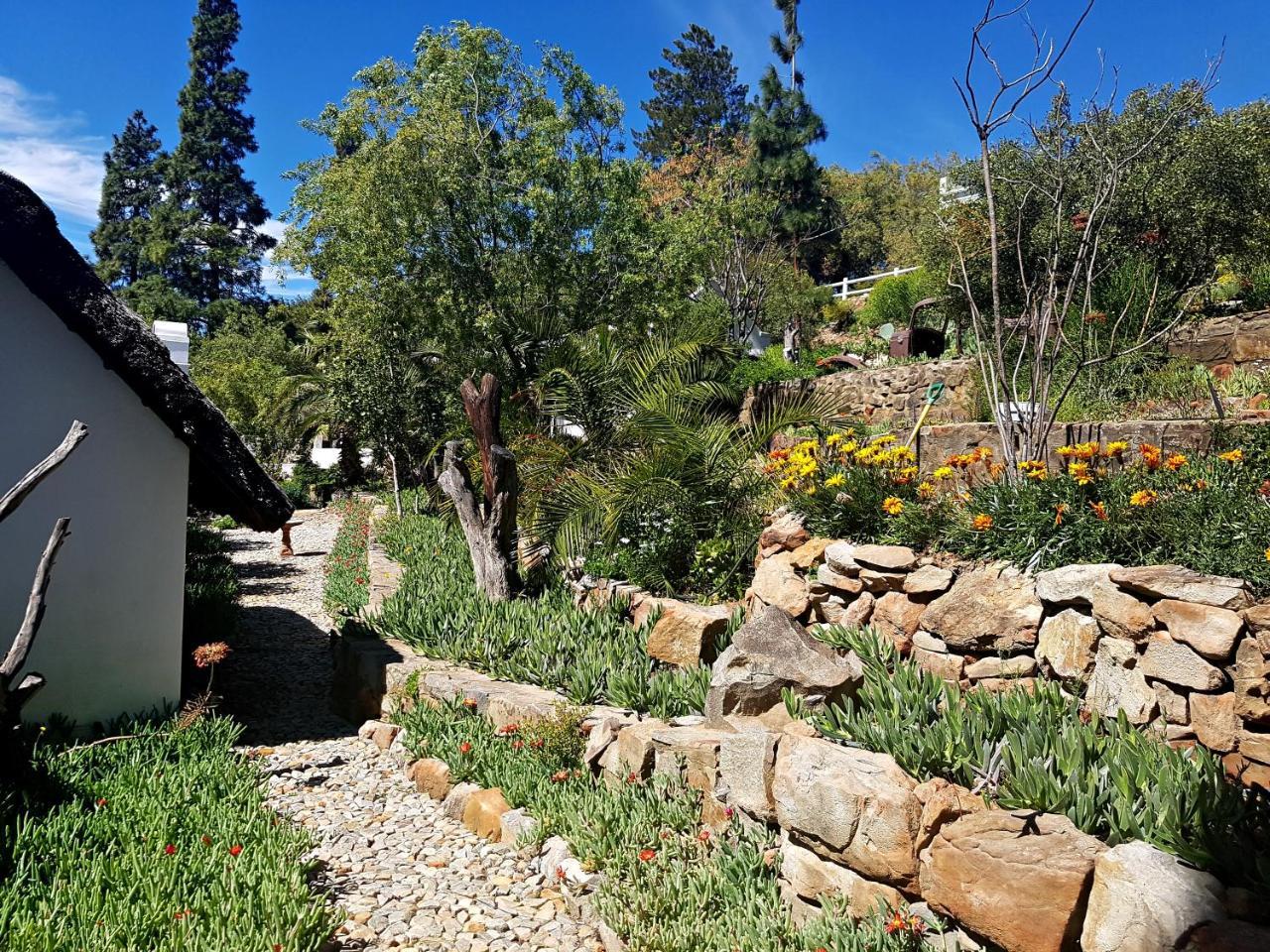 Montagu Little Sanctuary - Hot Spring Access At Reduced Price Daire Dış mekan fotoğraf